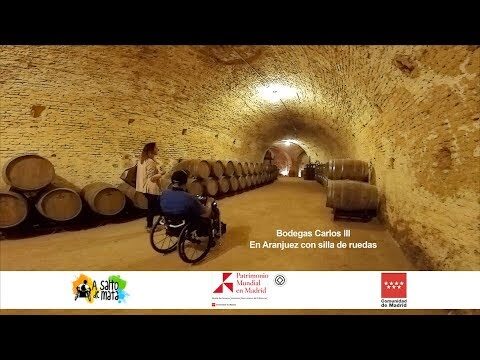 Guía para Comprar Vino en Silla