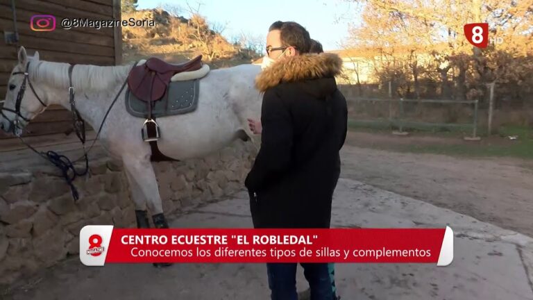 Centros de Equitación Cercanos a Silla