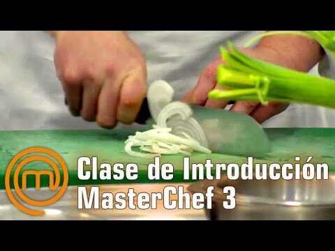 Opciones para cursos de cocina creativa en Torrent