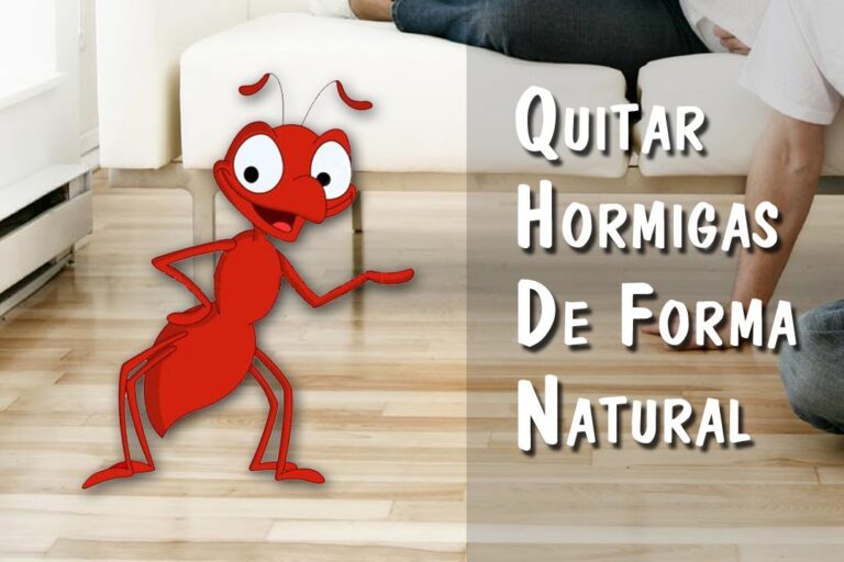 Guía para Comprar Productos de Salud Natural en Albal