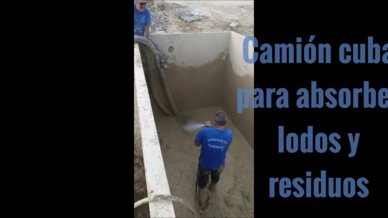 Empresas de Limpieza en Torrent: Opciones y Servicios