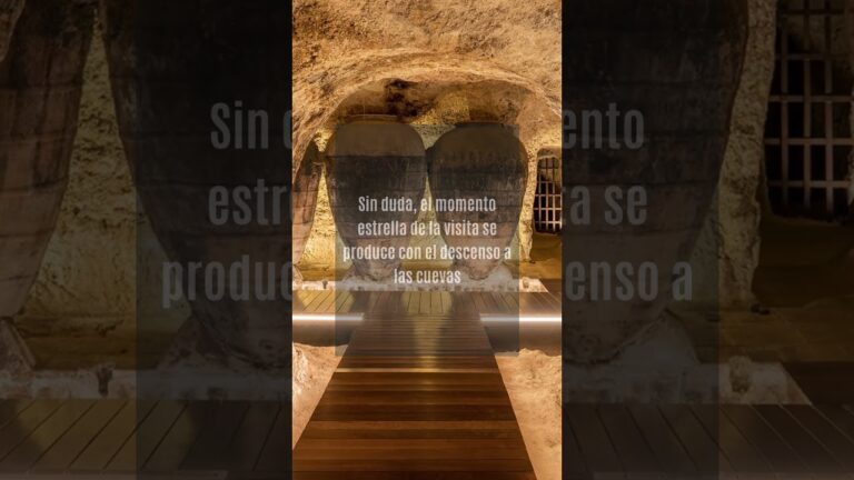 Rutas Enotur&iacute;sticas Cerca de Picassent