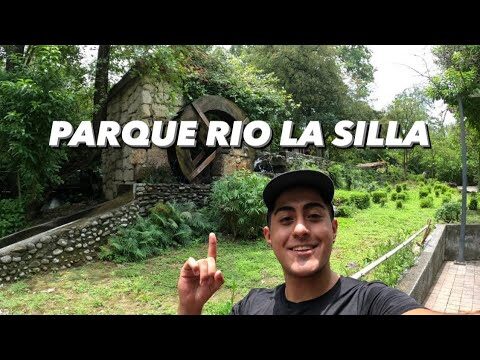 Mercados Ecológicos en Silla: Dónde Encontrarlos