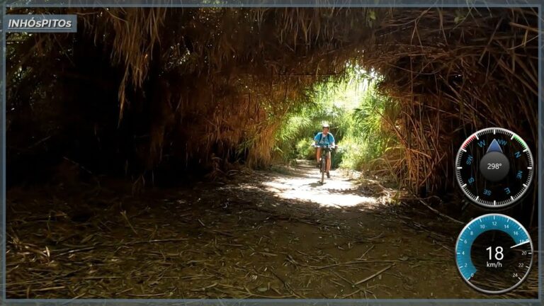 Mejores Rutas de Running en Paiporta