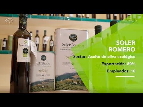 Gu&iacute;a para encontrar mercados ecol&oacute;gicos en Torrent