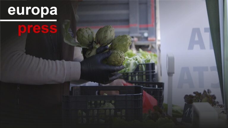 Guía para Comprar Productos de Proximidad en Paiporta