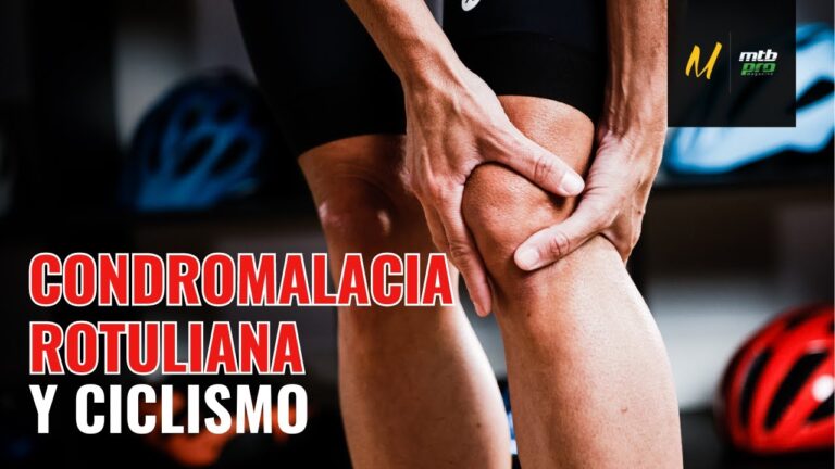 Rutas de Ciclismo Urbano en Silla: Guía Completa