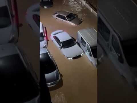 Transporte en Beniparrell: Análisis y Opiniones